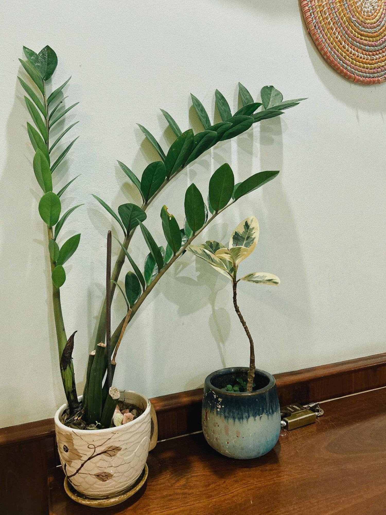 Nang Homestay 투이호아 외부 사진